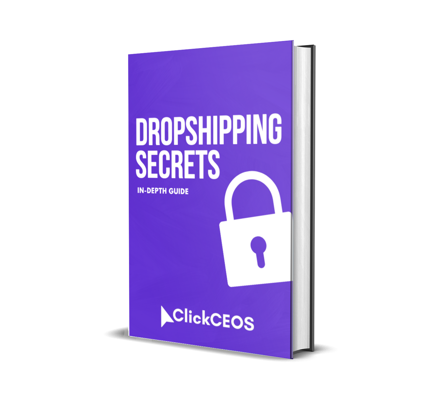 Dropshipping Secrets: Launch A Profitable Store In 30 Days
